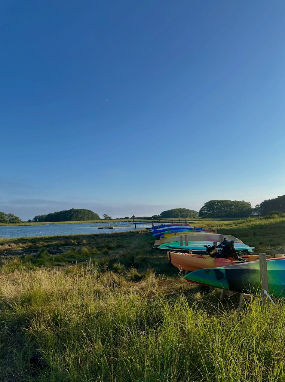 Kayaks resting in tall grass beside a tidal river in Maine under a clear blue sky